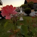 Alexia Studios Lejlighedshotel *