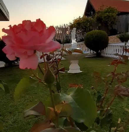 Alexia Studios Aparthotel *
