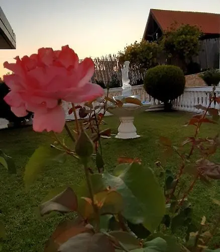 Alexia Studios Aparthotel *